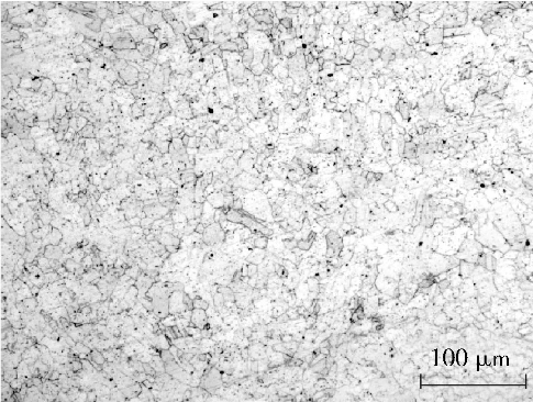 TP347HFG fine-grained austenitic microstructure