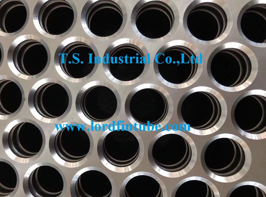 Finned Tube Manufacturer|Extruded Finned Tube|Embedded G Finned Tube|Tube Sheet
