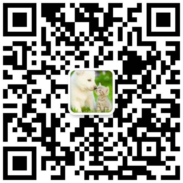 WeChat (Englisch)